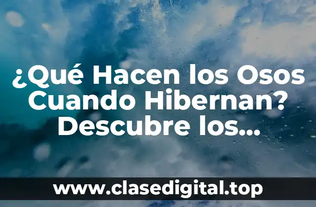 Preparación para la Hibernación