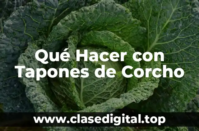 Qué Hacer con Tapones de Corcho