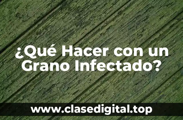 ¿Qué Hacer con un Grano Infectado?