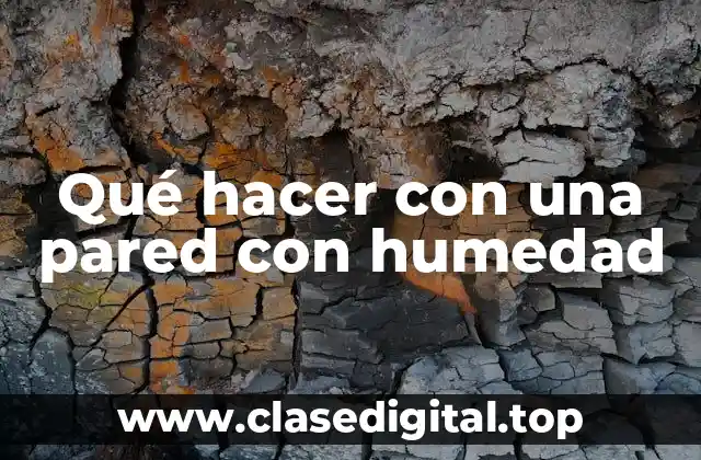 Qué hacer con una pared con humedad