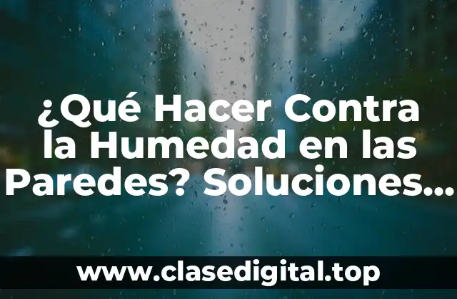 ¿Qué Hacer Contra la Humedad en las Paredes? Soluciones y Trucos