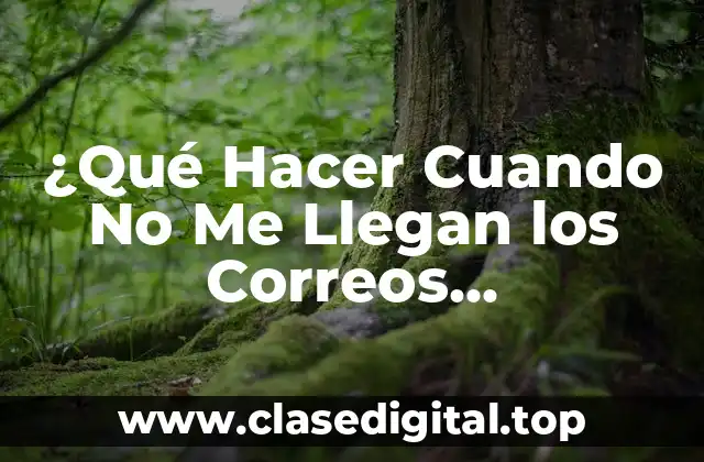 ¿Qué Hacer Cuando No Me Llegan los Correos Electrónicos? Soluciones y Tips