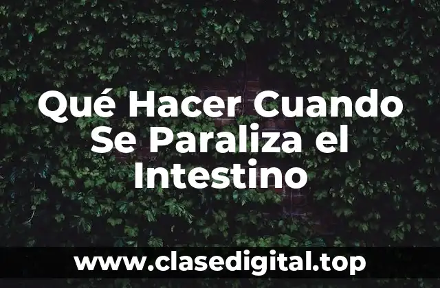 Síntomas de la Parálisis Intestinal: ¿Cómo Reconocer los Signos de Alarma?