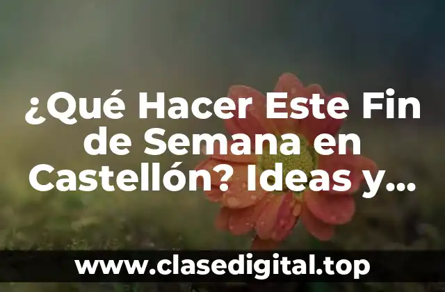 ¿Qué Hacer Este Fin de Semana en Castellón? Ideas y Actividades