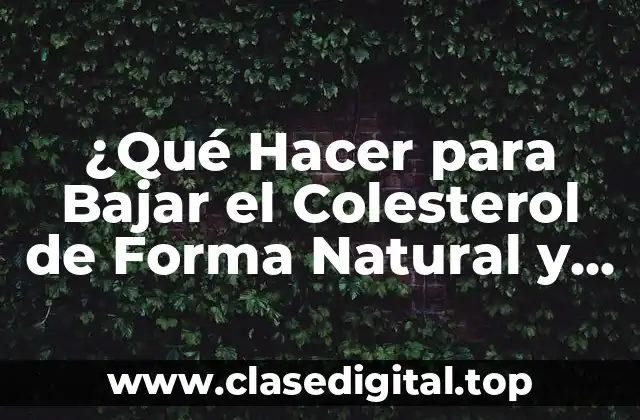 ¿Qué Hacer para Bajar el Colesterol de Forma Natural y Efectiva?