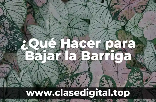 ¿Qué Hacer para Bajar la Barriga