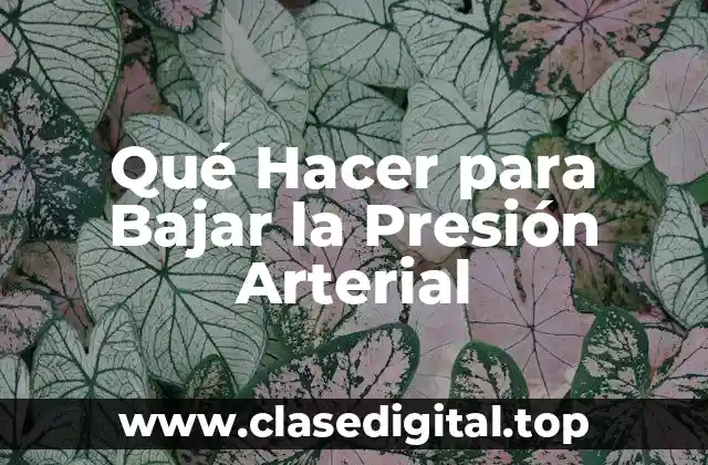 Qué Hacer para Bajar la Presión Arterial