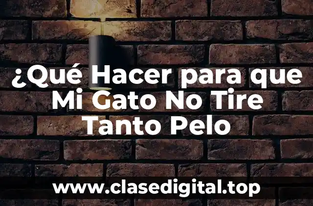 ¿Qué Hacer para que Mi Gato No Tire Tanto Pelo
