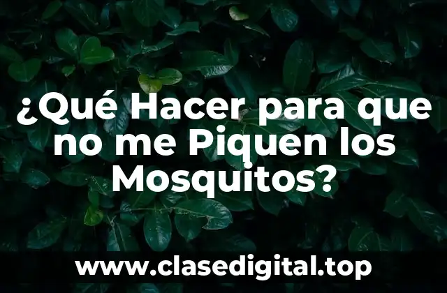 ¿Qué Hacer para que no me Piquen los Mosquitos?