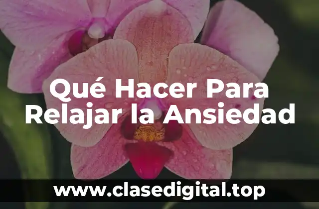 Qué Hacer Para Relajar la Ansiedad