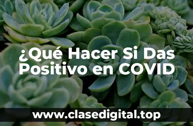 ¿Qué Hacer Si Das Positivo en COVID