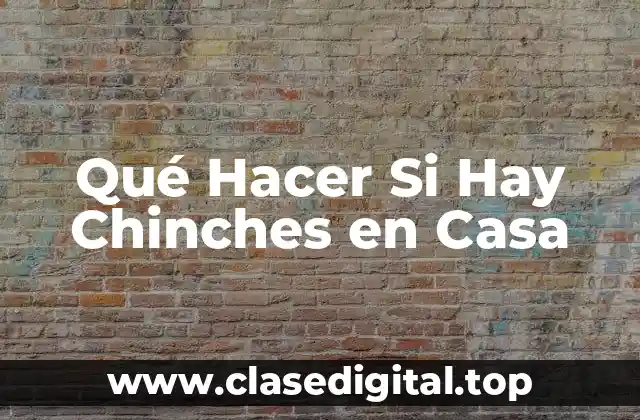 Qué Hacer Si Hay Chinches en Casa