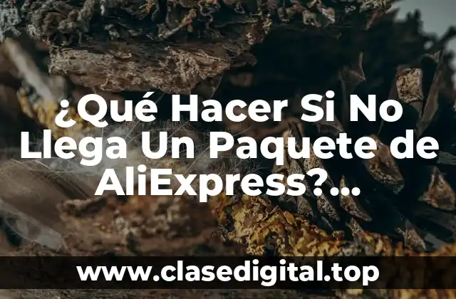¿Qué Hacer Si No Llega Un Paquete de AliExpress? Soluciones y Consejos