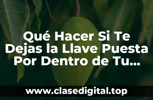 Qué Hacer Si Te Dejas la Llave Puesta Por Dentro de Tu Coche