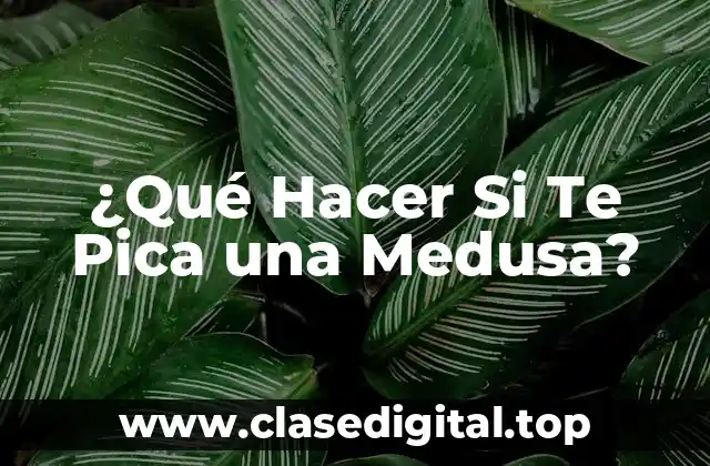 Cómo Identificar una Picadura de Medusa