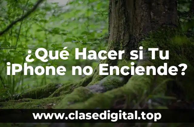 ¿Qué Hacer si Tu iPhone no Enciende?