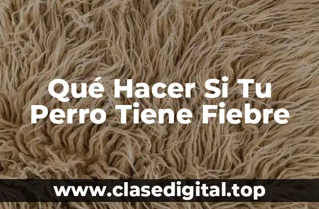 Qué Hacer Si Tu Perro Tiene Fiebre
