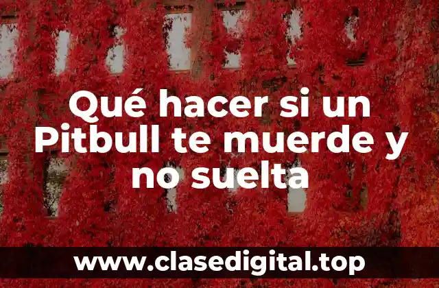 Qué hacer si un Pitbull te muerde y no suelta