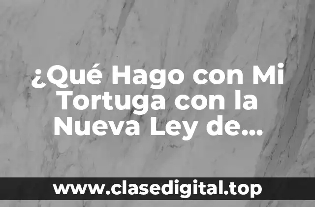 ¿Cuáles son los Cambios más Importantes de la Nueva Ley de Protección de Animales?