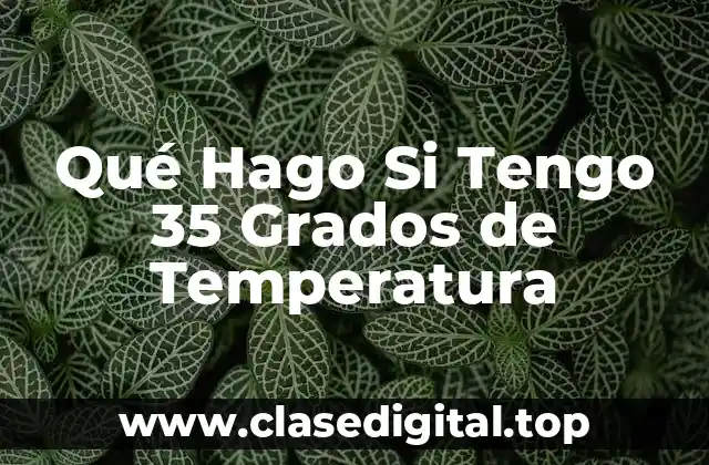 Qué Hago Si Tengo 35 Grados de Temperatura