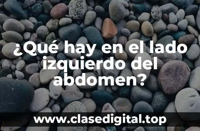 ¿Qué hay en el lado izquierdo del abdomen?