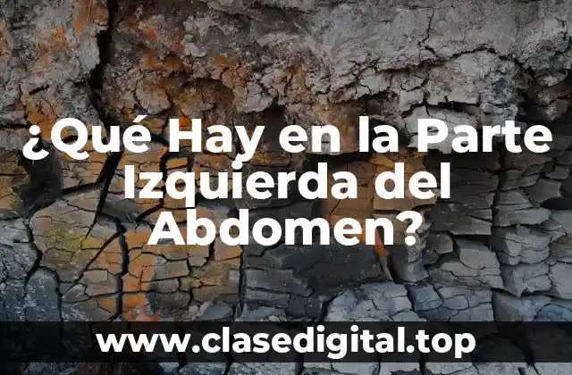 ¿Qué Hay en la Parte Izquierda del Abdomen?