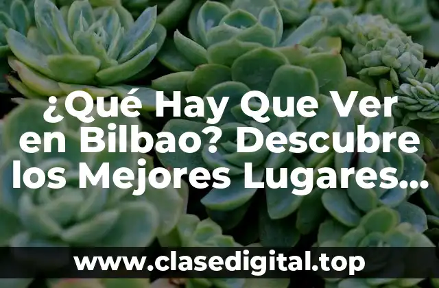 ¿Qué Hay Que Ver en Bilbao? Descubre los Mejores Lugares Turísticos