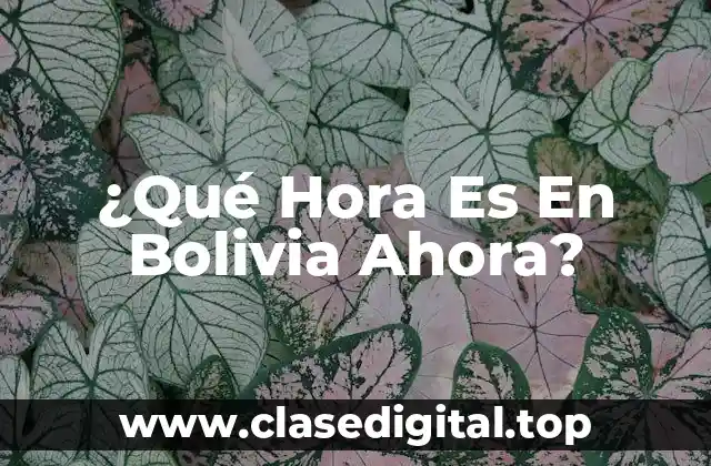 ¿Qué Hora Es En Bolivia Ahora?