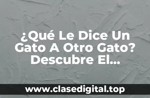 La Importancia del Lenguaje Felino