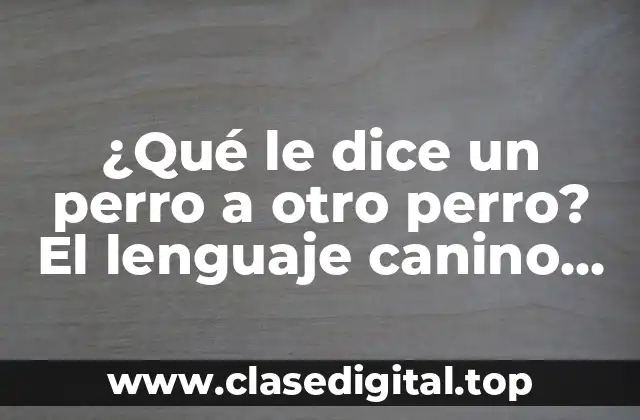 El lenguaje vocal de los perros