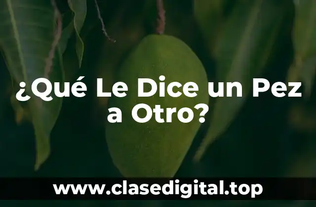 ¿Qué Le Dice un Pez a Otro?