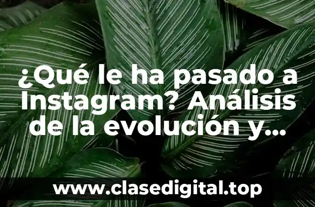 ¿Qué le ha pasado a Instagram? Análisis de la evolución y cambios en la plataforma