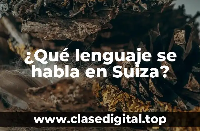 ¿Qué lenguaje se habla en Suiza?