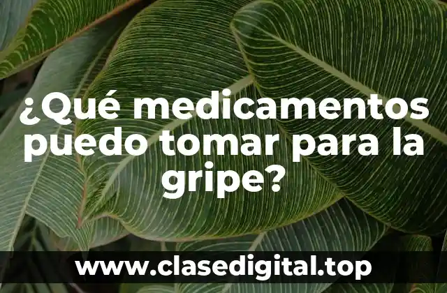 ¿Qué medicamentos puedo tomar para la gripe?