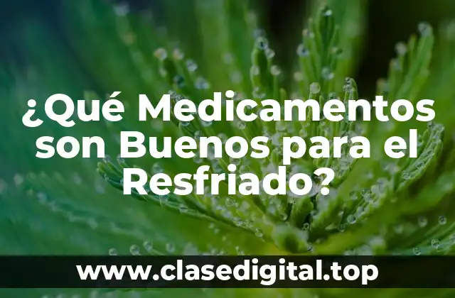 ¿Qué Medicamentos son Buenos para el Resfriado?
