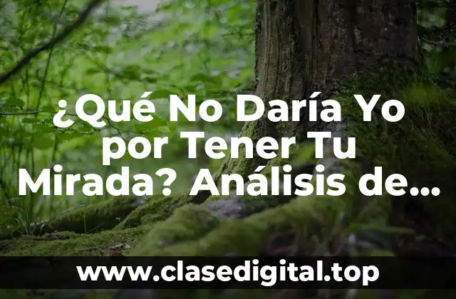 ¿Qué No Daría Yo por Tener Tu Mirada? Análisis de la Poesía de Amor