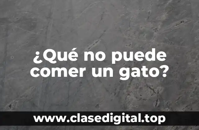¿Qué no puede comer un gato?