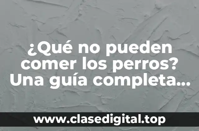 ¿Qué no pueden comer los perros? Una guía completa para proteger la salud canina