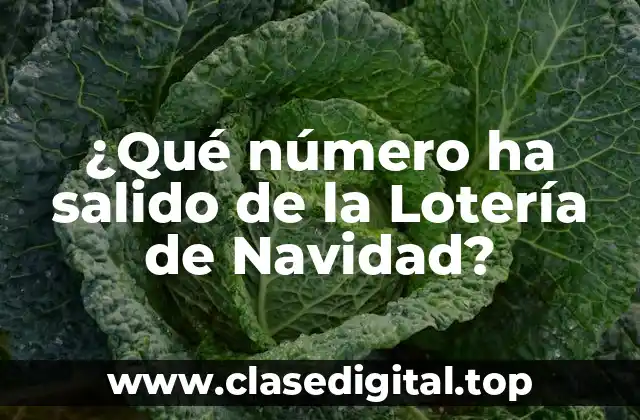¿Qué número ha salido de la Lotería de Navidad?