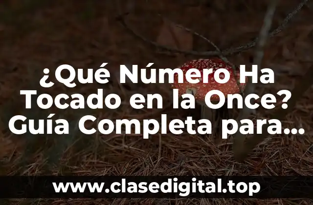¿Qué Número Ha Tocado en la Once? Guía Completa para Ganar en el Sorteo
