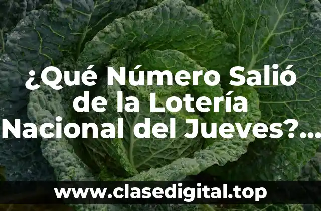 ¿Qué Número Salió de la Lotería Nacional del Jueves? Resultados y Análisis