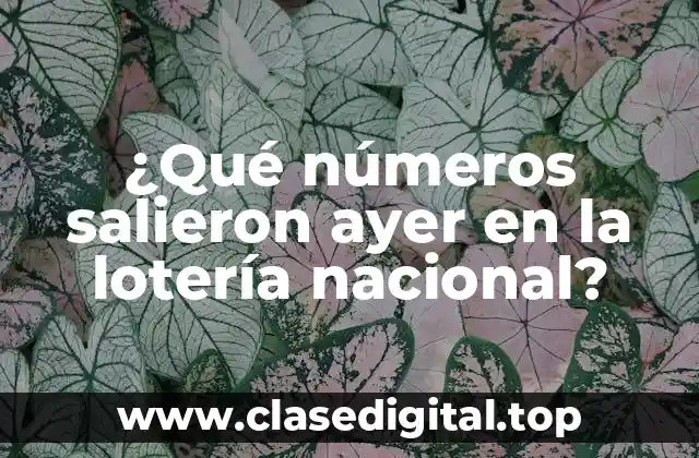 ¿Cómo funciona la lotería nacional?