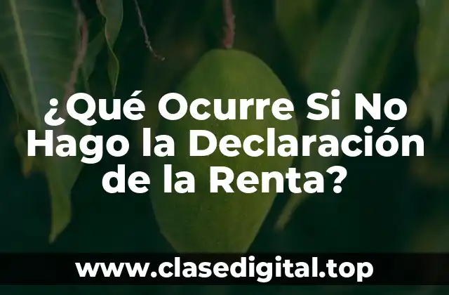 ¿Qué Ocurre Si No Hago la Declaración de la Renta?