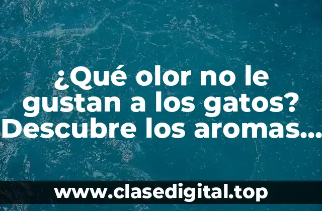 ¿Qué olor no le gustan a los gatos? Descubre los aromas felinos