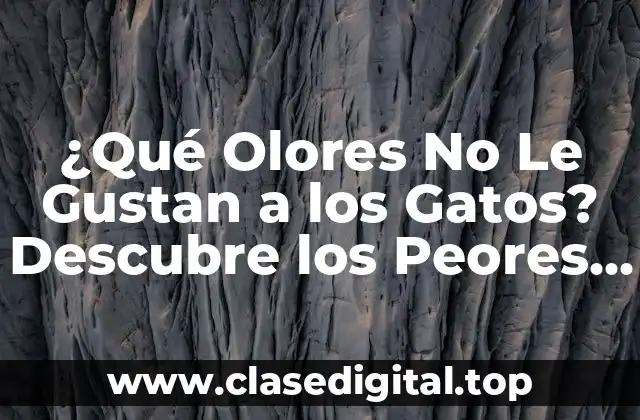 ¿Qué Olores No Le Gustan a los Gatos? Descubre los Peores Olores para tu Felino