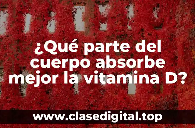¿Qué parte del cuerpo absorbe mejor la vitamina D?