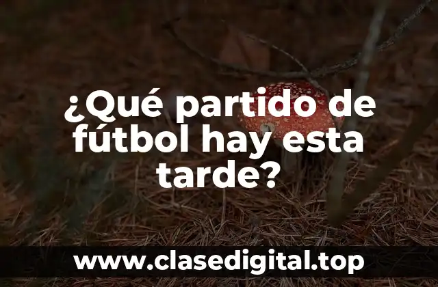 ¿Qué partido de fútbol hay esta tarde?