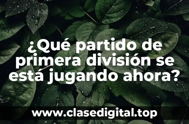 ¿Qué partido de primera división se está jugando ahora?