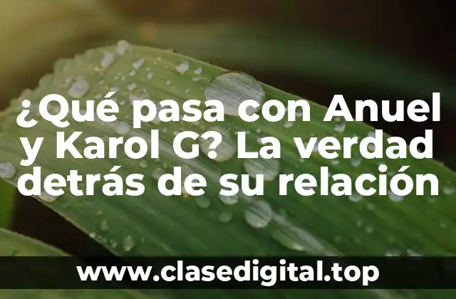 ¿Qué pasa con Anuel y Karol G? La verdad detrás de su relación