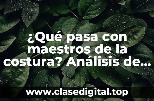 ¿Qué pasa con maestros de la costura? Análisis de la situación actual